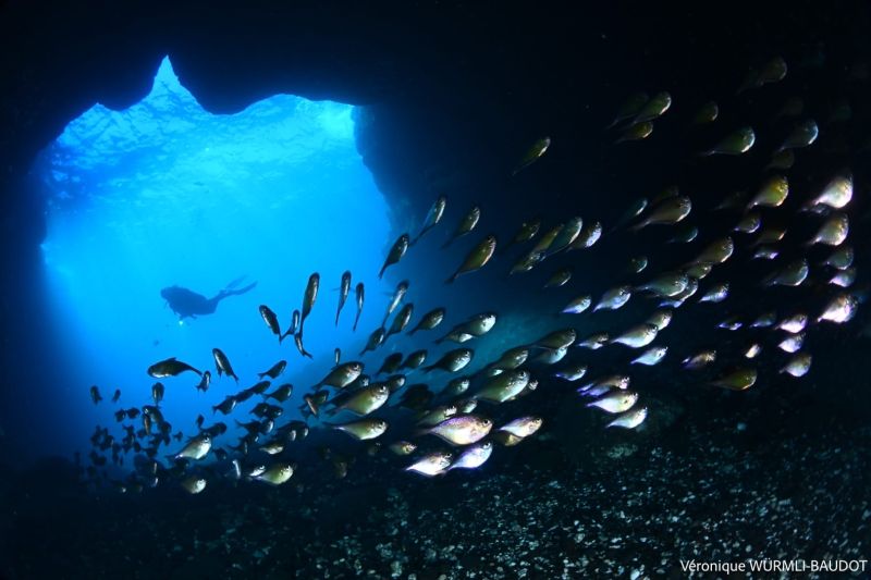 Une autre photo 20🏊‍♀️